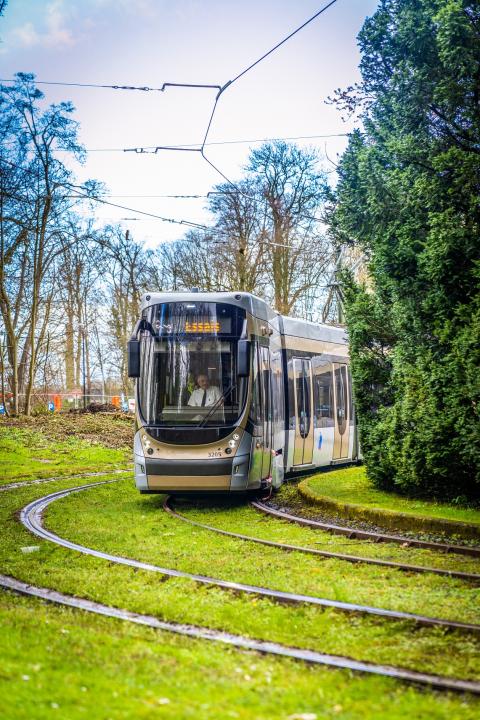 Tram New Generation